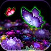 3D Butterfly Live Wallpaper cho Android