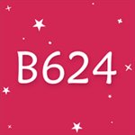 B624 Selfie Stickers