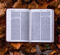 Bộ ảnh nền PowerPoint dành cho giáo viên