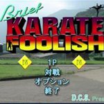 Brief Karate Foolish