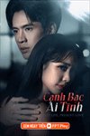 Canh bạc ái tình