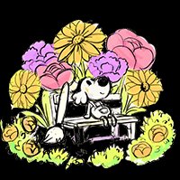 Chicory: A Colorful Tale