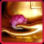 Chú Đại Bi cho Android