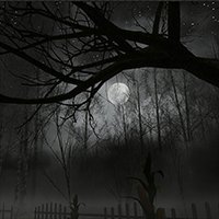 Descending The Woods