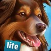 DogHotel Lite cho Android
