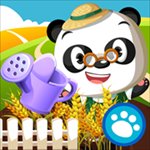 Dr. Panda's Veggie Garden