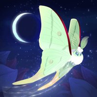 Flutter Starlight cho iOS