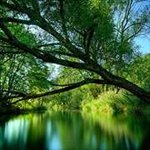 Free Nature Wallpapers