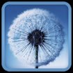 Galaxy S3 Live Wallpaper for Android