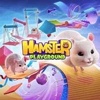 Hamster Playground