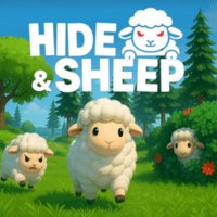 Hide and Sheep
