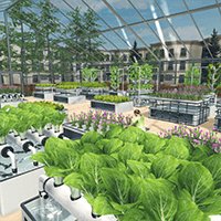 Hydroponics Farm & Store Simulator