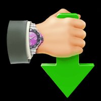 Internet Download Accelerator