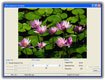 JPEG Optimizer Pro