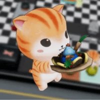 Kitty Can Cook