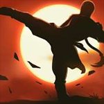 Kungfu Shadow Fighting