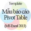 Mẫu báo cáo Pivot Table