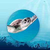 Mẫu PowerPoint đại dương xanh