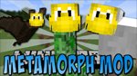 Metamorph Mod