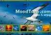 Moodturn - Biến trình duyệt web thành Screensaver bốn mùa