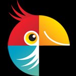 Movavi Photo Editor cho Mac