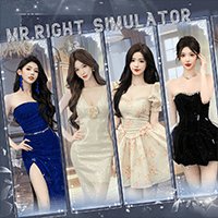 Mr Right Simulator