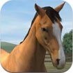 My Horse for Android