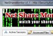 NetShareMonitor