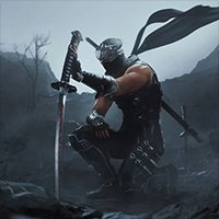 NINJA GAIDEN 2 Black