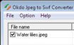 Okdo Jpeg to Swf Converter