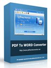 PDF to Word Converter