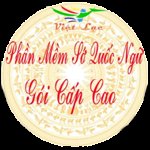 Phần mềm viết sớ song ngữ