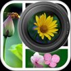 PicFrameCam cho iOS