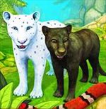 Puma Family Sim Online