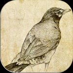 Sketch Master cho iOS