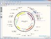 SnapGene Viewer