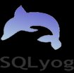SQLyog (64 bit)