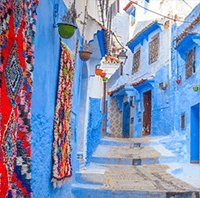 Street Views Premium