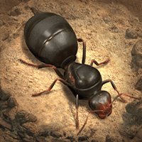 The Ants: Underground Kingdom cho iOS