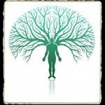 Visual Family Tree Maker