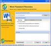 Word Password Recovery Software