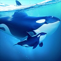 World of Water-Gamota cho Android